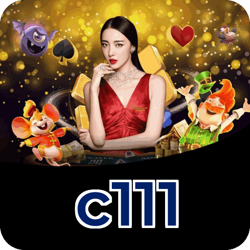 Interface c111